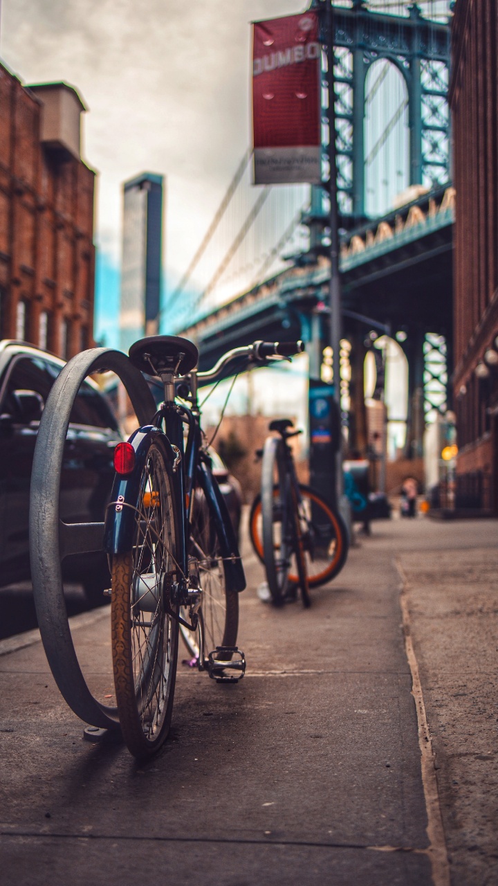 Обои дорожный велосипед, горный велосипед, дорога, легковые автомобили, Велоспорт в разрешении 720x1280