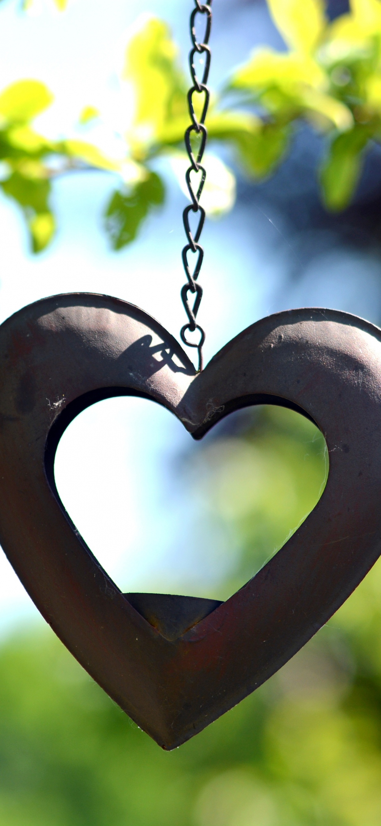 Обои сердце, символ, любовь, кулон, медальон в разрешении 1242x2688