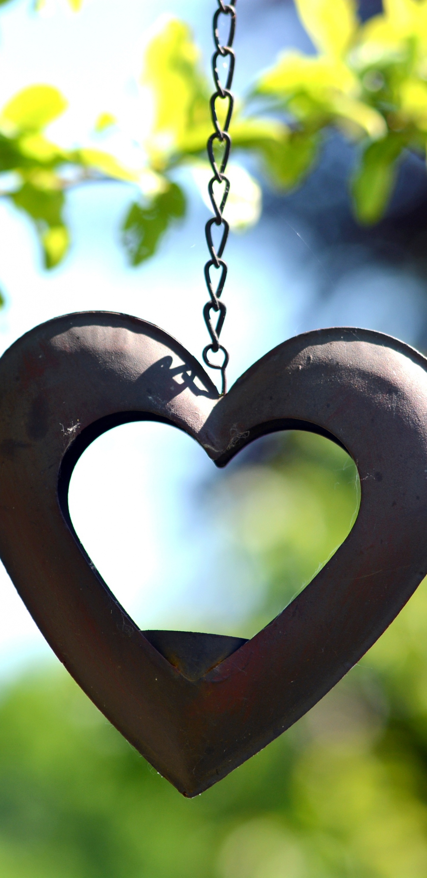 Обои сердце, символ, любовь, кулон, медальон в разрешении 1440x2960