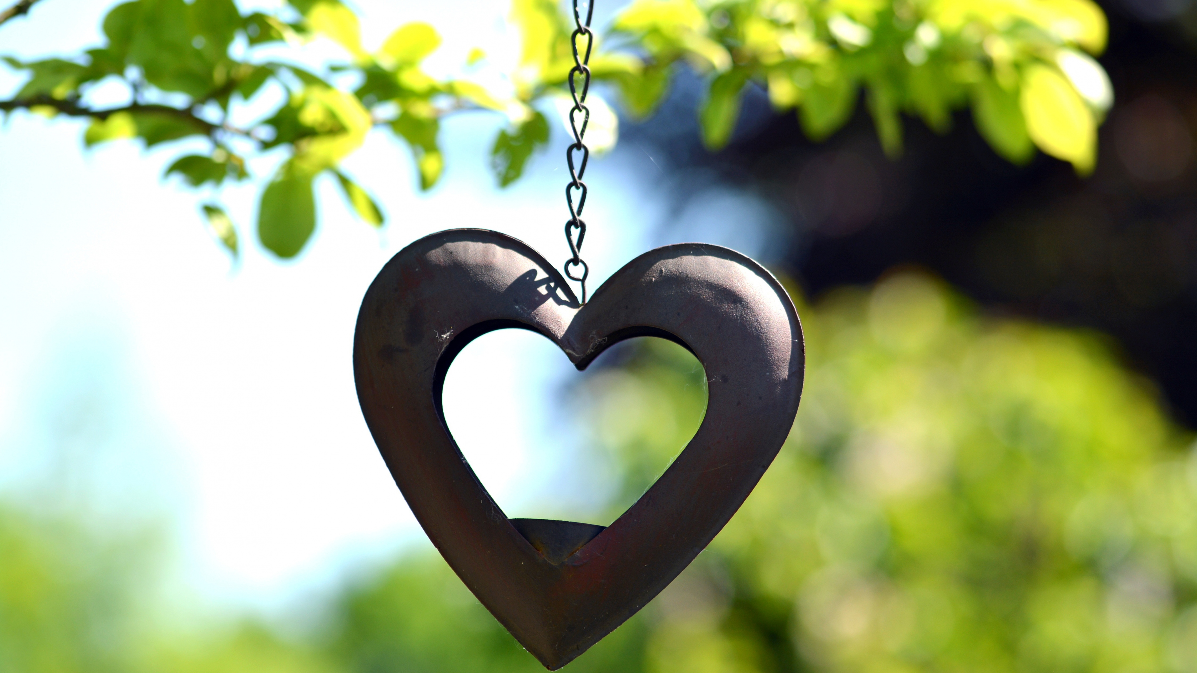 Обои сердце, символ, любовь, кулон, медальон в разрешении 3840x2160