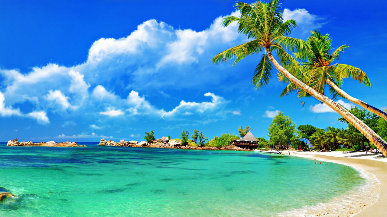 Обои туризм, тропическая зона, пляж, Карибский бассейн, берег в разрешении 1280x720