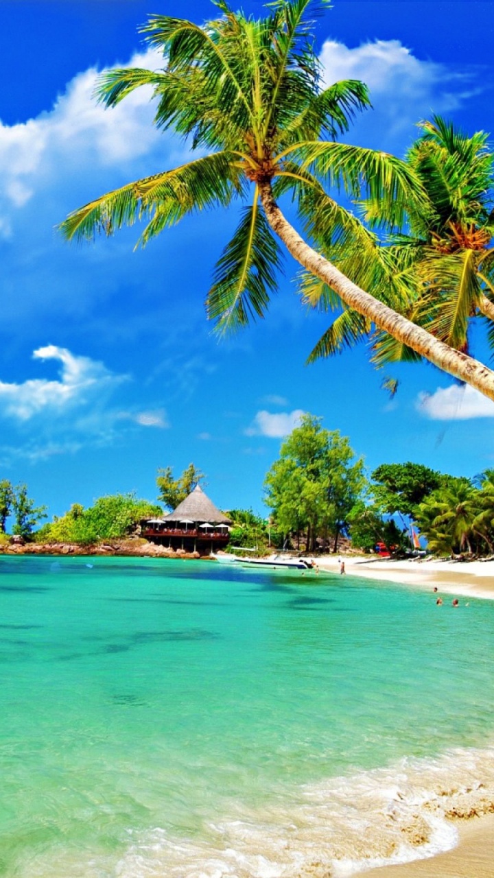 Обои туризм, тропическая зона, пляж, Карибский бассейн, берег в разрешении 720x1280