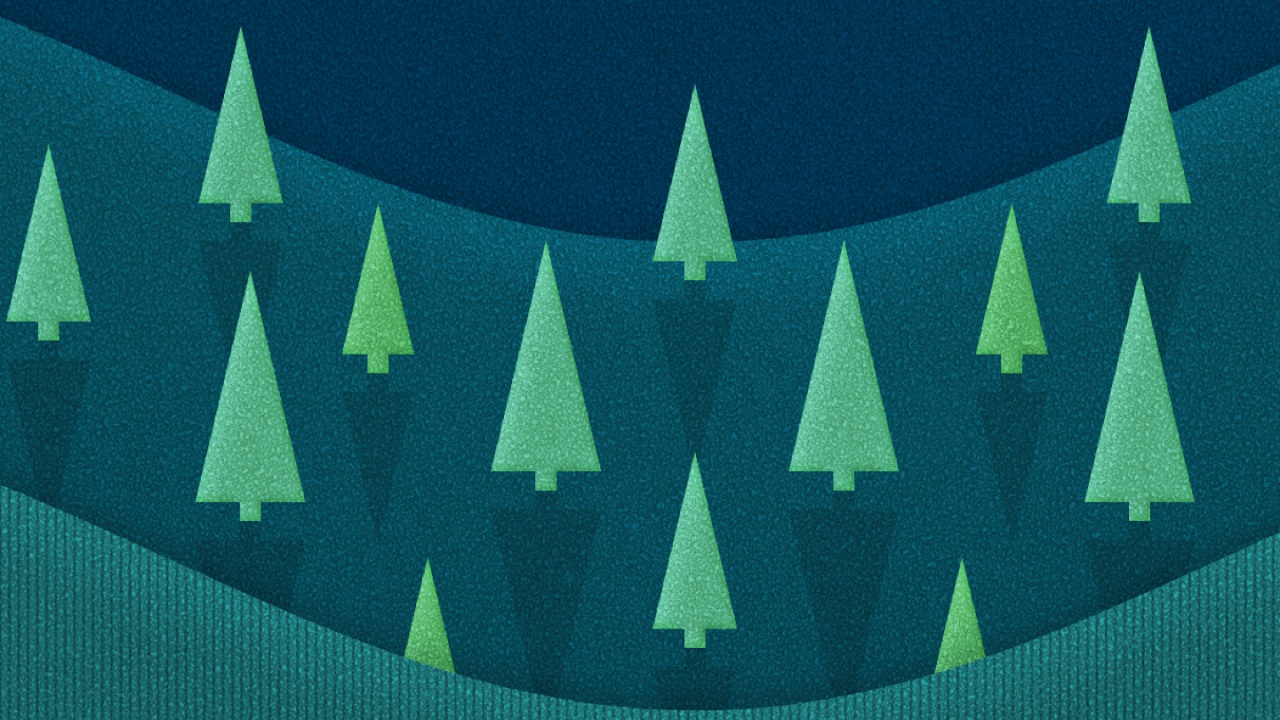 Обои бирюза, луна, лазурный, прямоугольник, растение в разрешении 1280x720