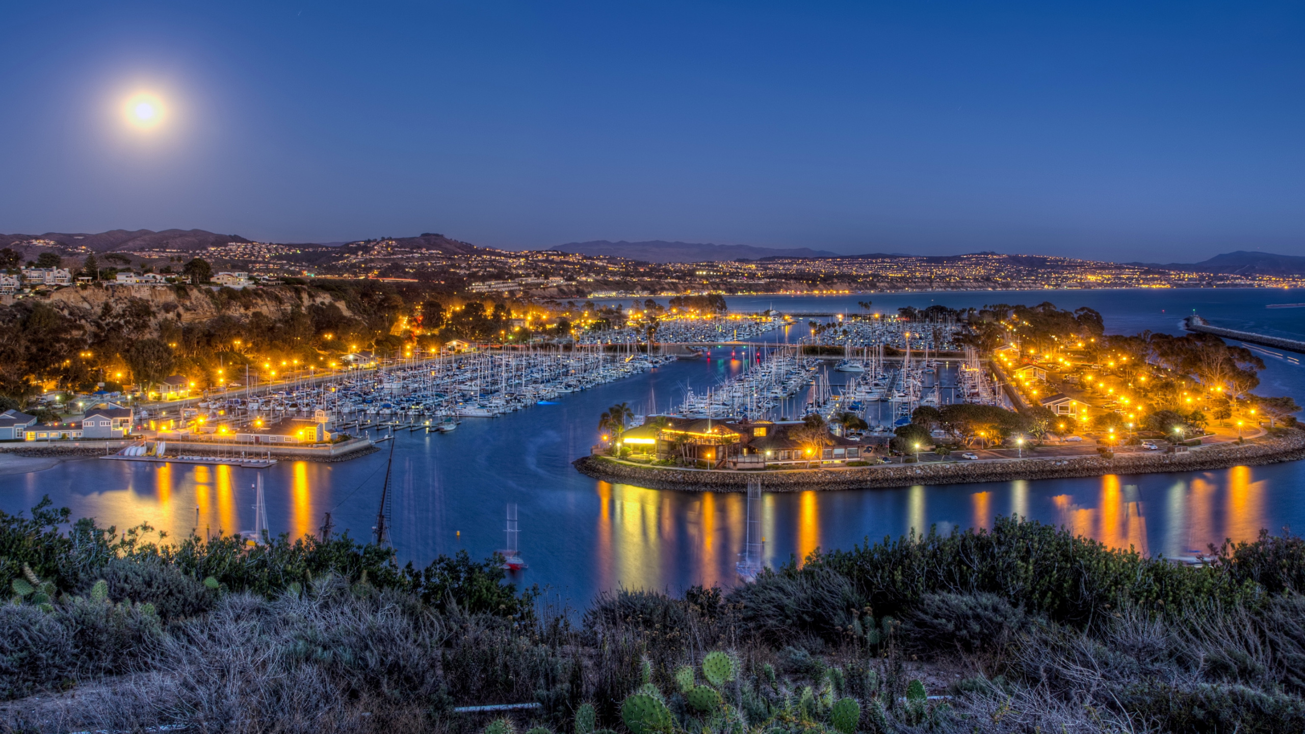 Обои дана пойнт, Лагуна Бич, ночь, вода, отражение в разрешении 2560x1440