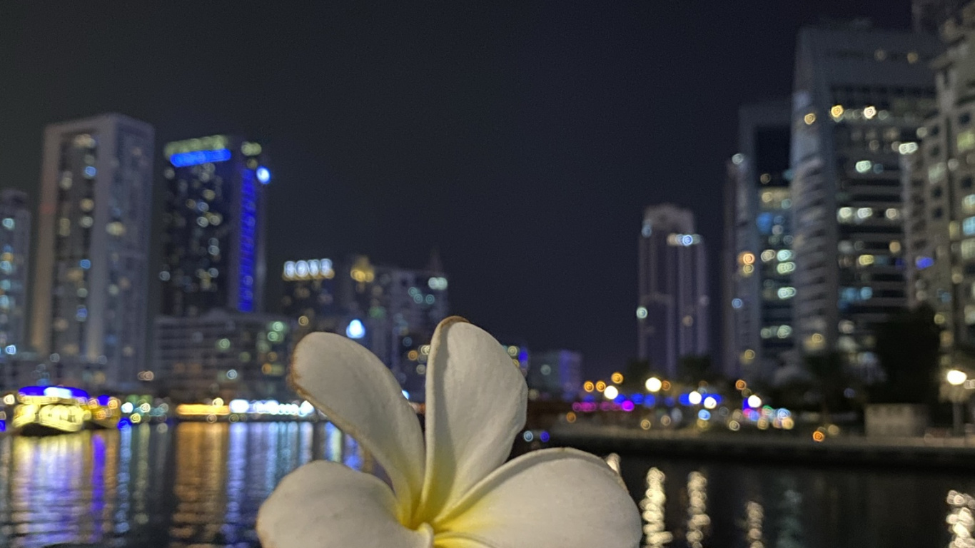 Обои отражение, вода, физика, наука, ночь в разрешении 1366x768