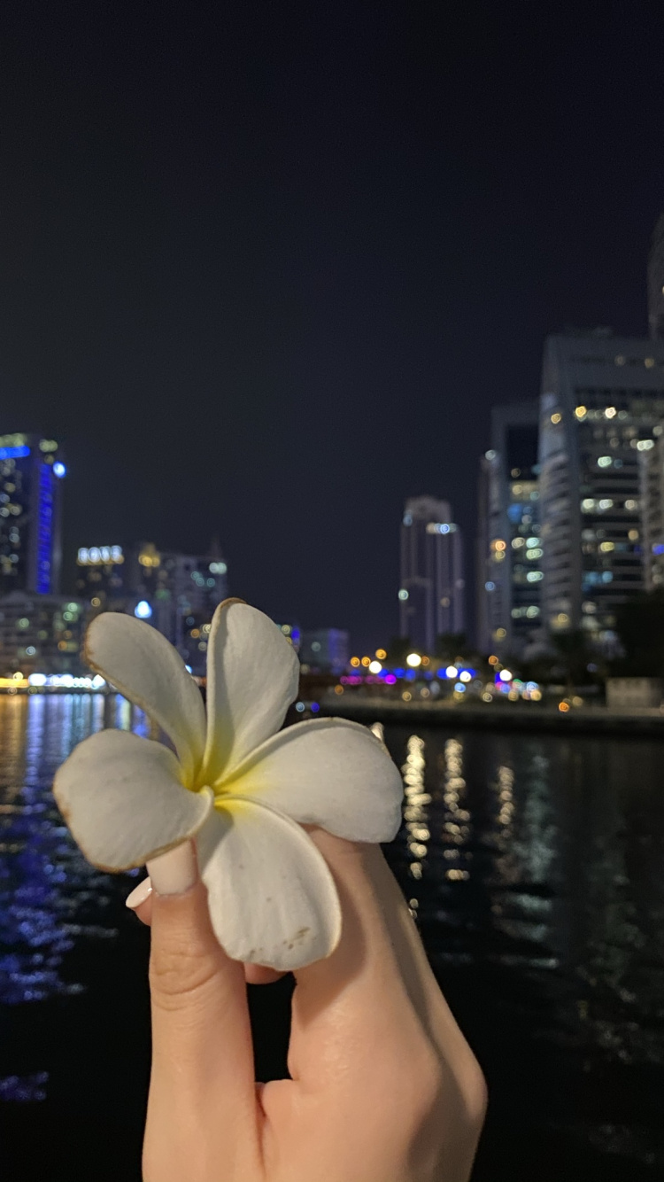 Обои отражение, вода, физика, наука, ночь в разрешении 750x1334