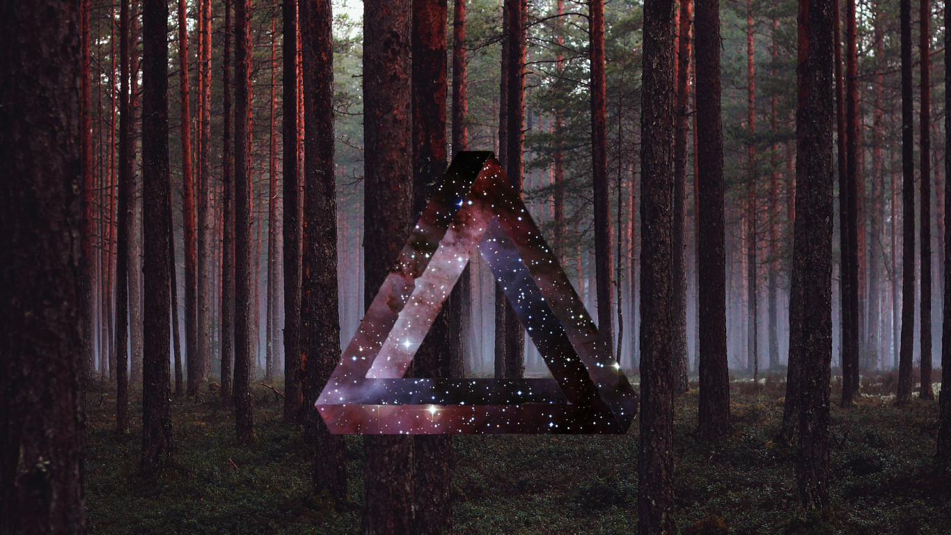 Обои лес, дерево, свет, лесистая местность, Информация в разрешении 1366x768