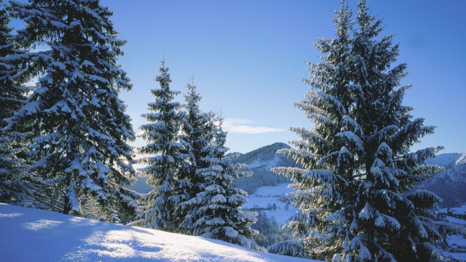 Обои снег, зима, дерево, высокое качество природа, природа в разрешении 1920x1080