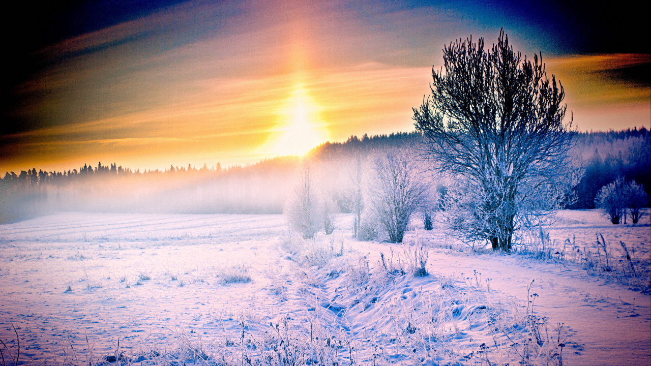 Обои снег, зима, природа, замораживание, утро в разрешении 1280x720