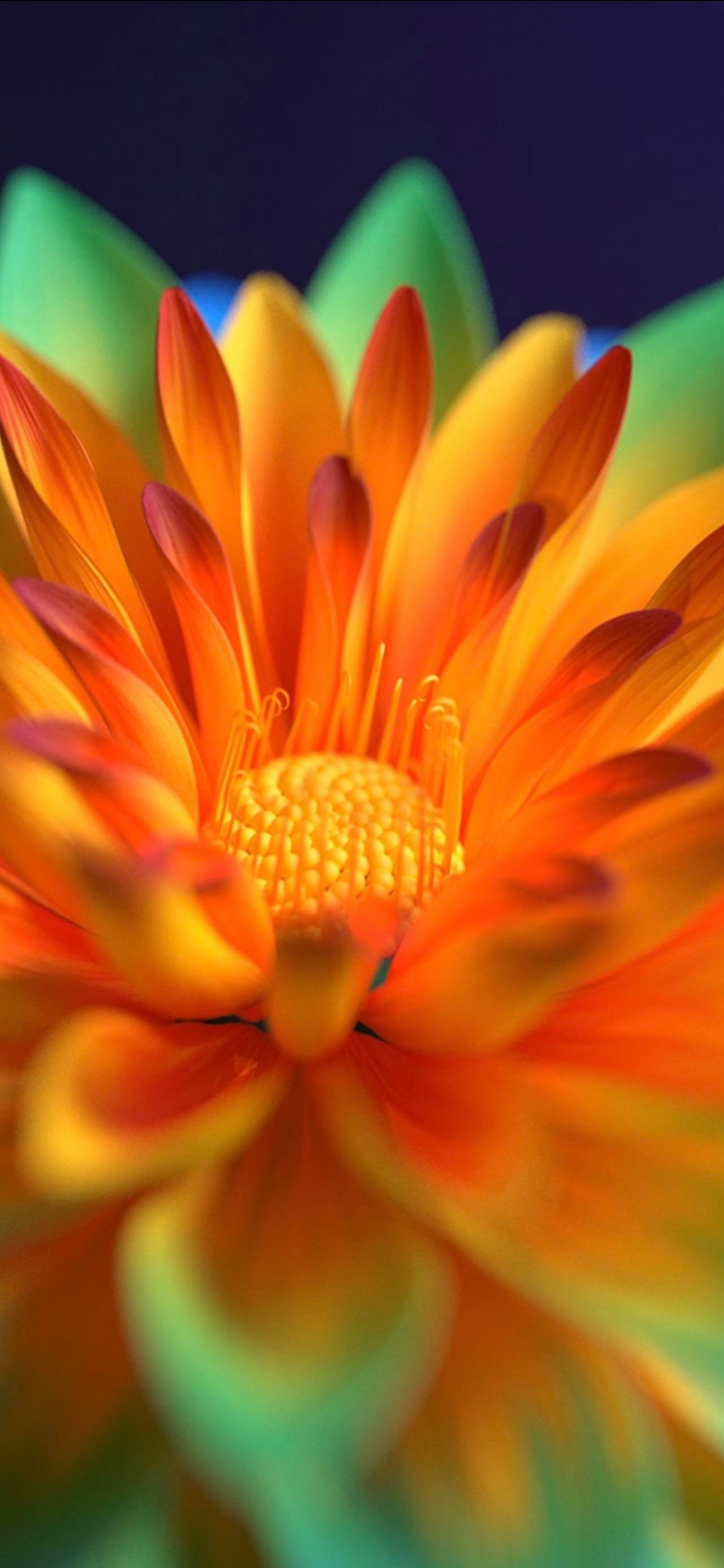 Обои цветок, Жив, Vivo, Оранжевый цвет, Панель IPS в разрешении 1125x2436