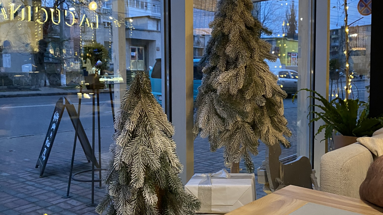 Обои дерево, ветвь, пицца, пища, хлебобулочные изделия в разрешении 1280x720