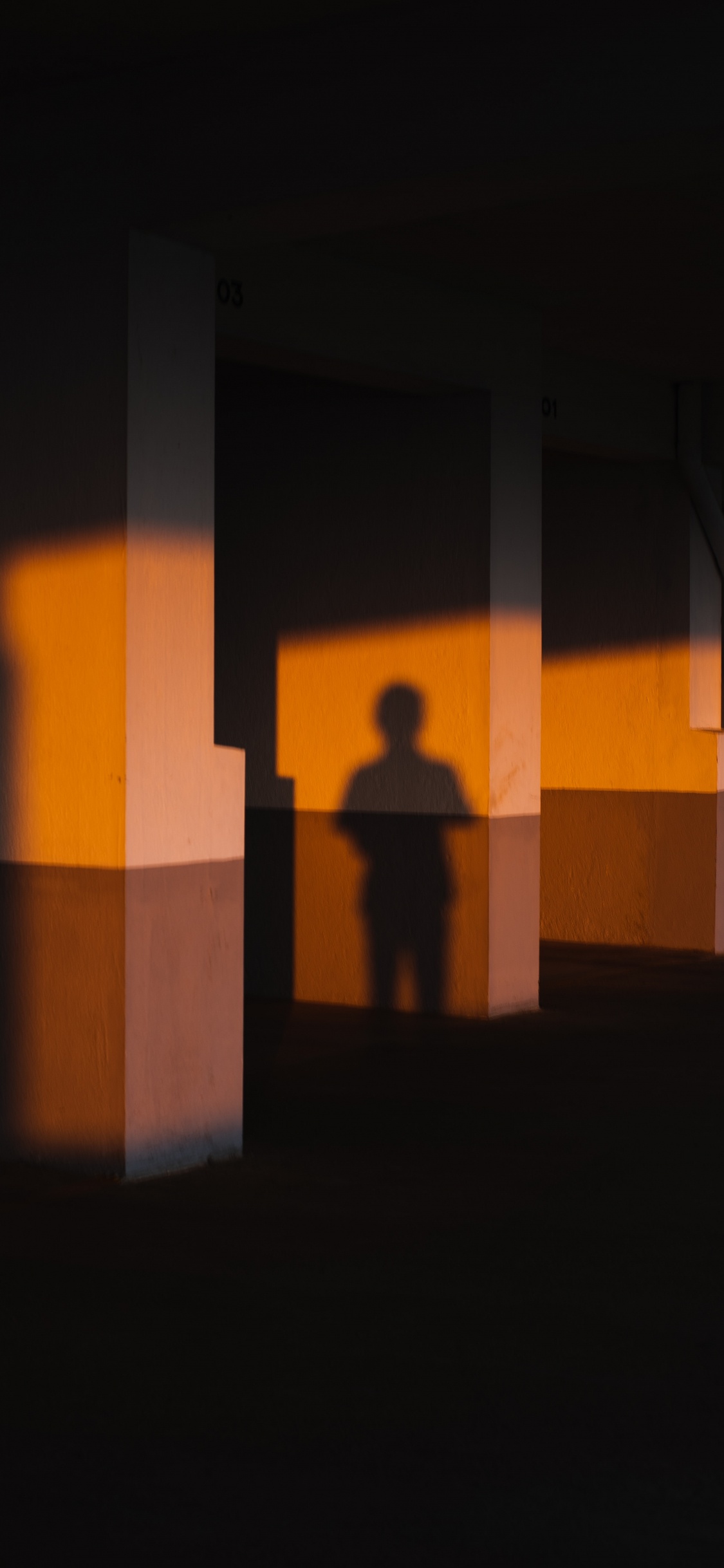 Обои ночь, тень, комната, здание, архитектура в разрешении 1125x2436