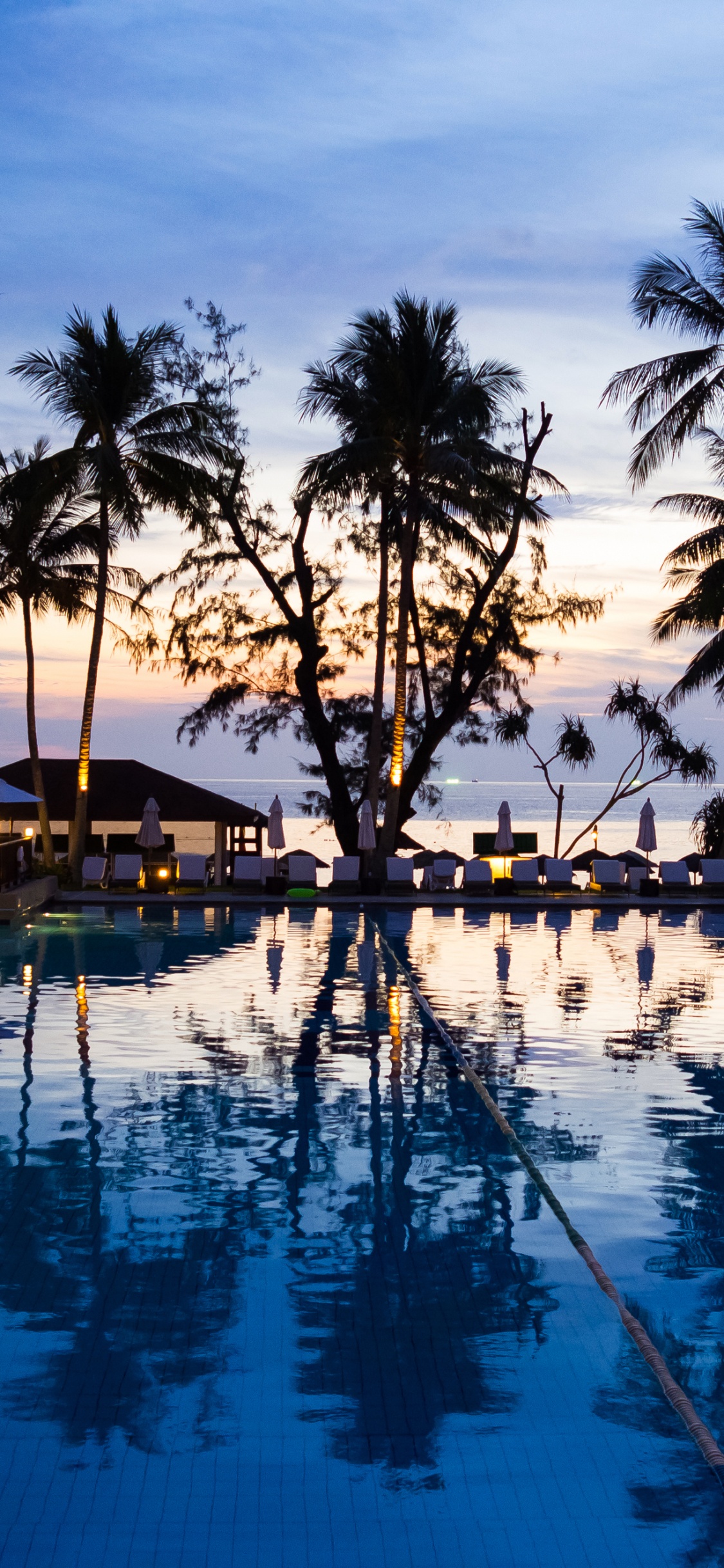 Обои плавательный бассейн, прибежище, отпуск, Пальма, курортный город в разрешении 1125x2436