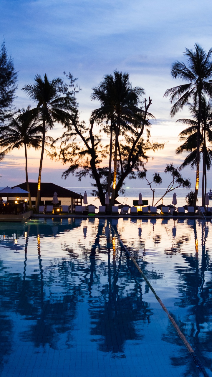 Обои плавательный бассейн, прибежище, отпуск, Пальма, курортный город в разрешении 720x1280