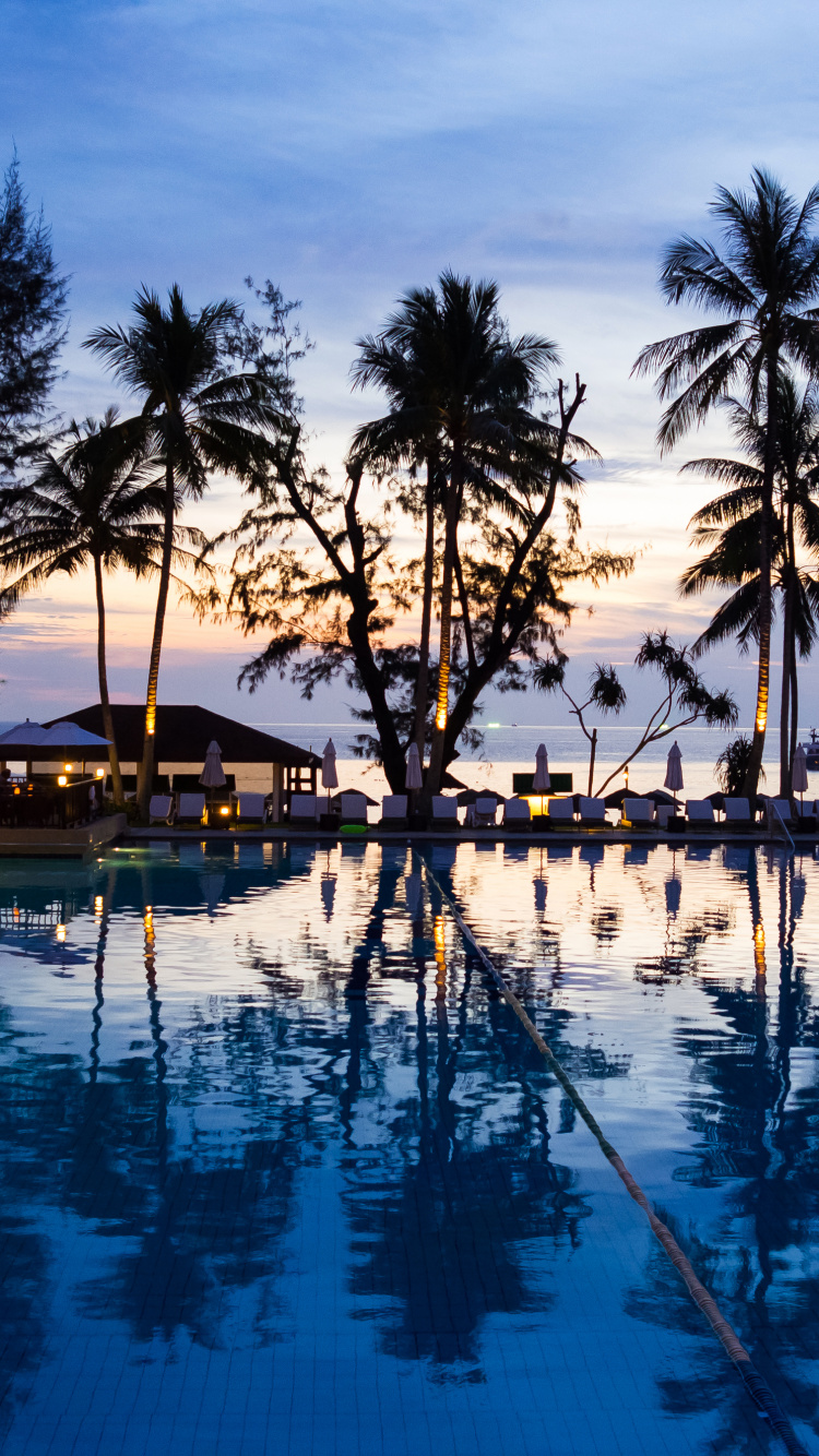 Обои плавательный бассейн, прибежище, отпуск, Пальма, курортный город в разрешении 750x1334