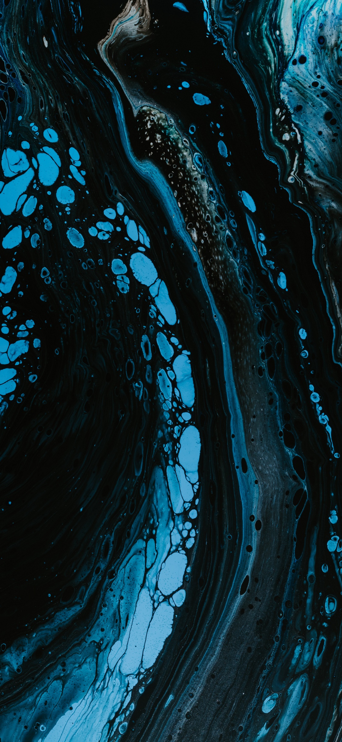 Обои дерево, Водоток Пищевыми Продуктами, синий, биология, ветровая волна в разрешении 1125x2436