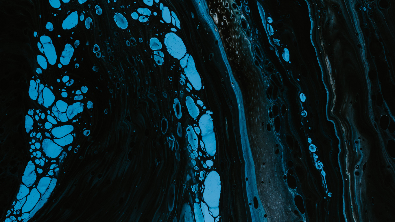 Обои дерево, Водоток Пищевыми Продуктами, синий, биология, ветровая волна в разрешении 1366x768