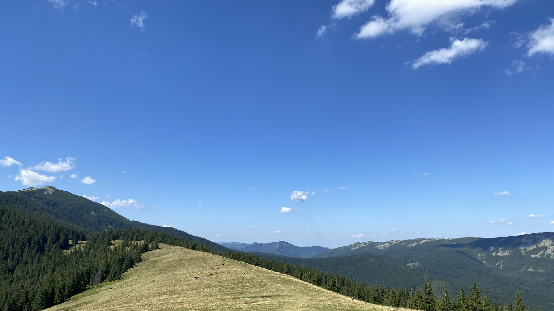 Обои сенокосное угодье, горный рельеф, холм, нагорье, облако в разрешении 1920x1080