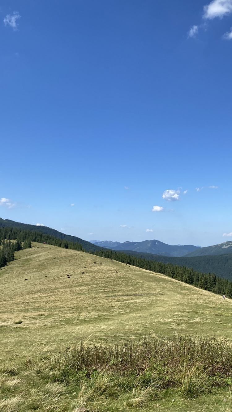 Обои сенокосное угодье, горный рельеф, холм, нагорье, облако в разрешении 750x1334