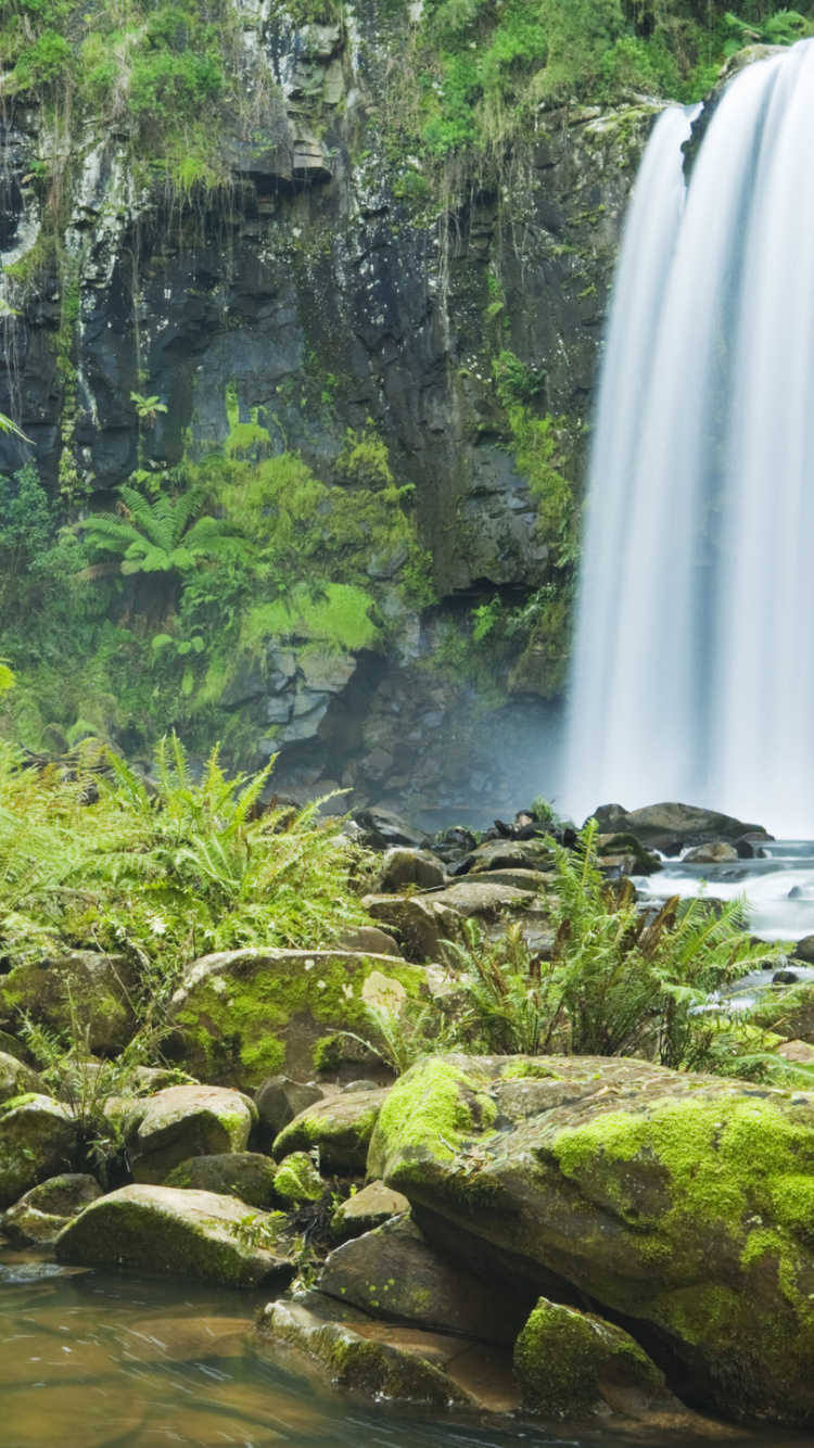 Обои хоуптауне падает, Национальный Парк Грейт-Отуэй, великая океанская дорога, водопад, гидроресурсы в разрешении 750x1334