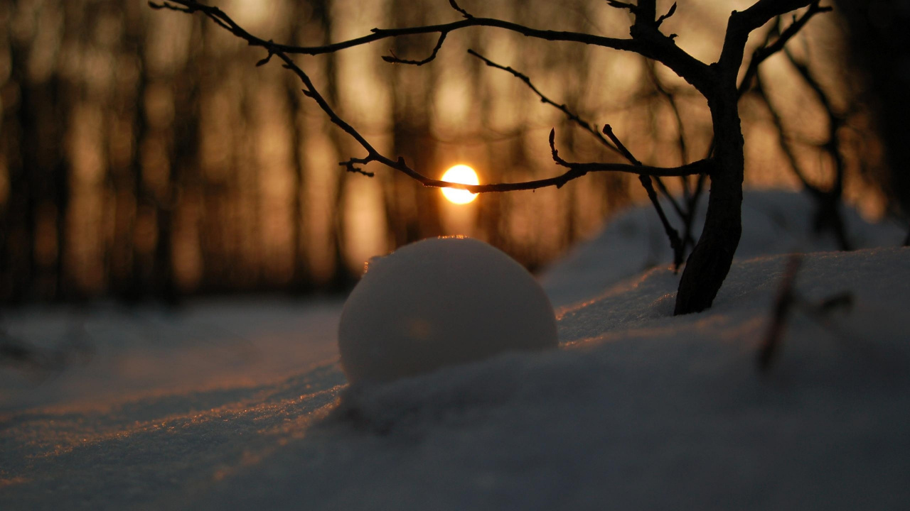 Обои зима, снег, закат, ветвь, природа в разрешении 1280x720