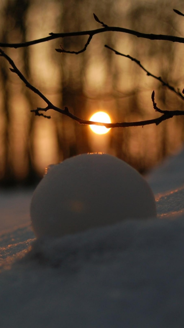 Обои зима, снег, закат, ветвь, природа в разрешении 720x1280