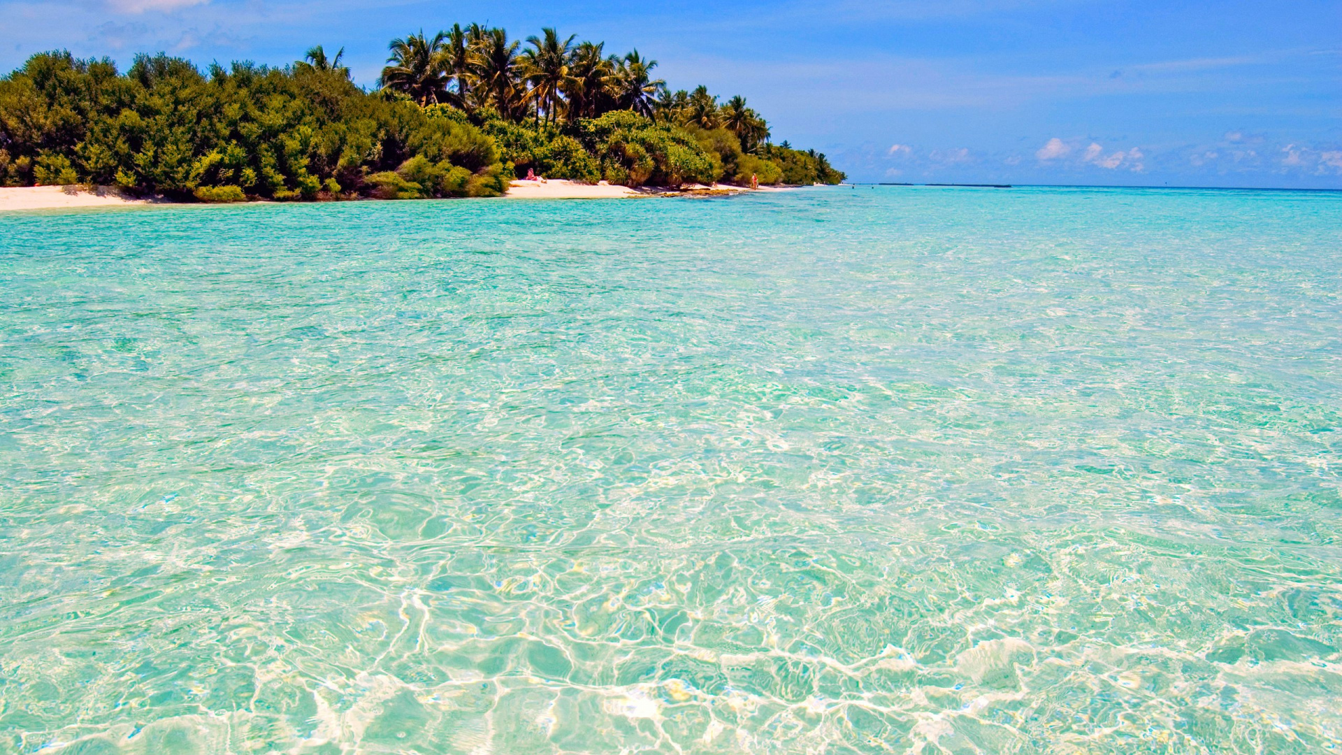 Обои море, пляж, океан, тропическая зона, прибрежные и океанические рельефы в разрешении 1920x1080