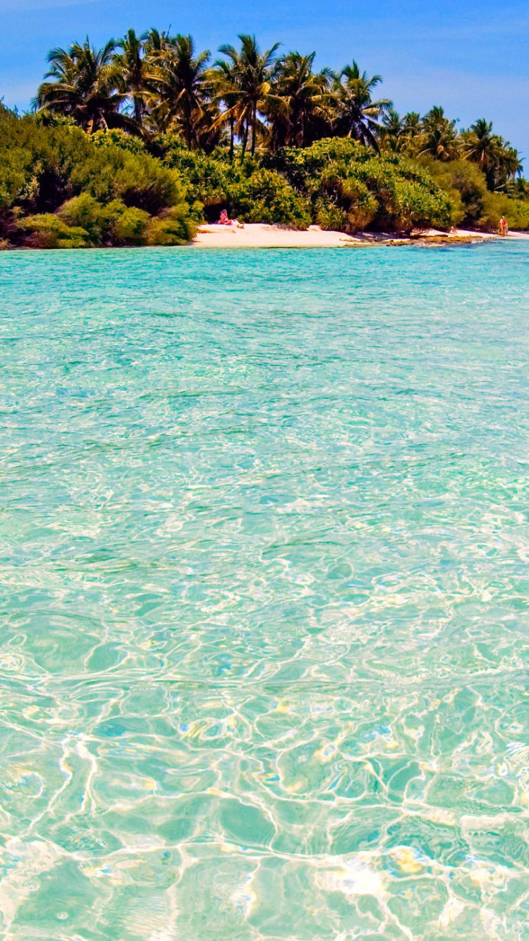 Обои море, пляж, океан, тропическая зона, прибрежные и океанические рельефы в разрешении 750x1334