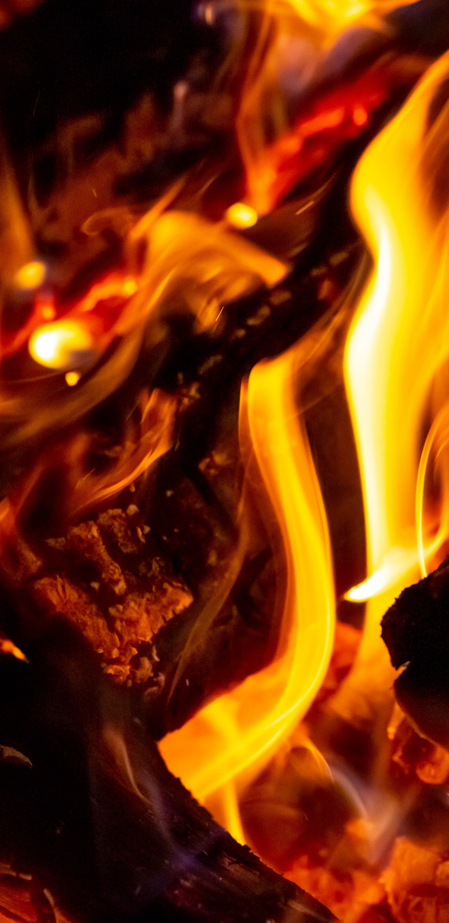 Обои огонь, пламя, тепло, Апельсин, костер в разрешении 1440x2960