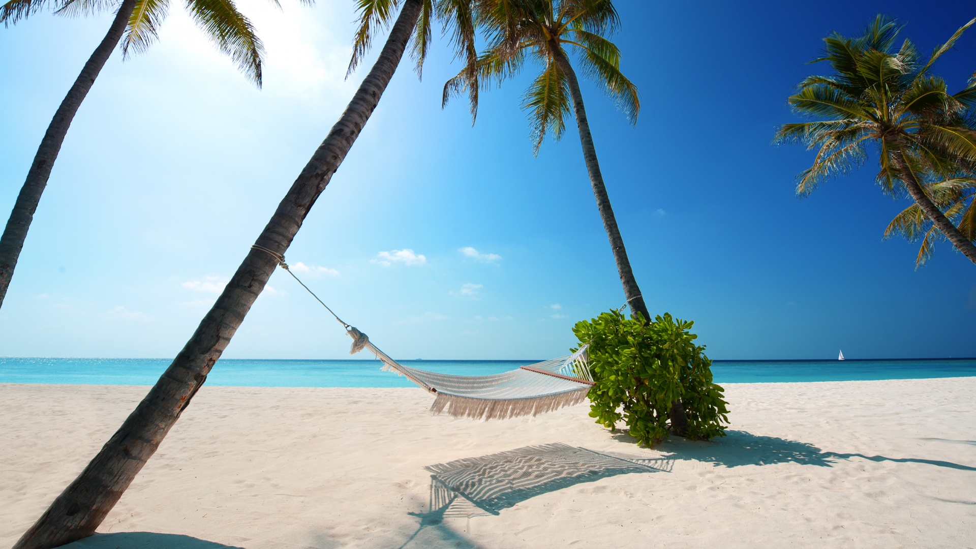 Обои пляж, тропическая зона, отпуск, Пальма, Карибский бассейн в разрешении 1920x1080