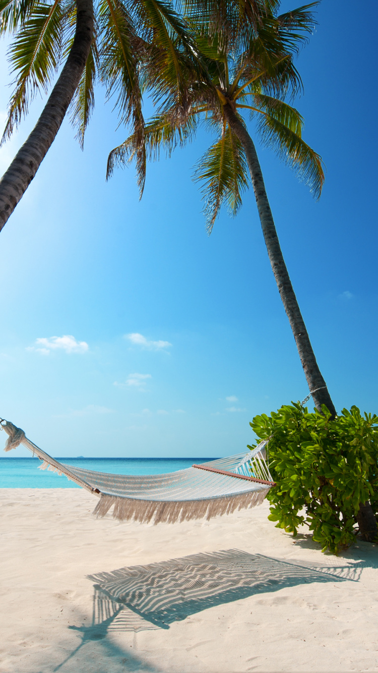 Обои пляж, тропическая зона, отпуск, Пальма, Карибский бассейн в разрешении 750x1334