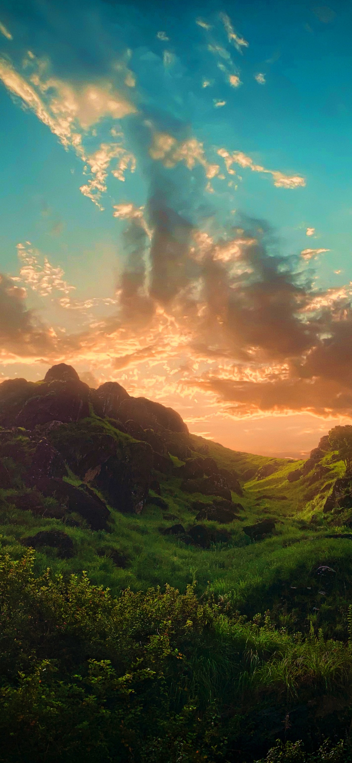 Обои пейзаж, природа, иллюстрация, облако, атмосфера в разрешении 1125x2436