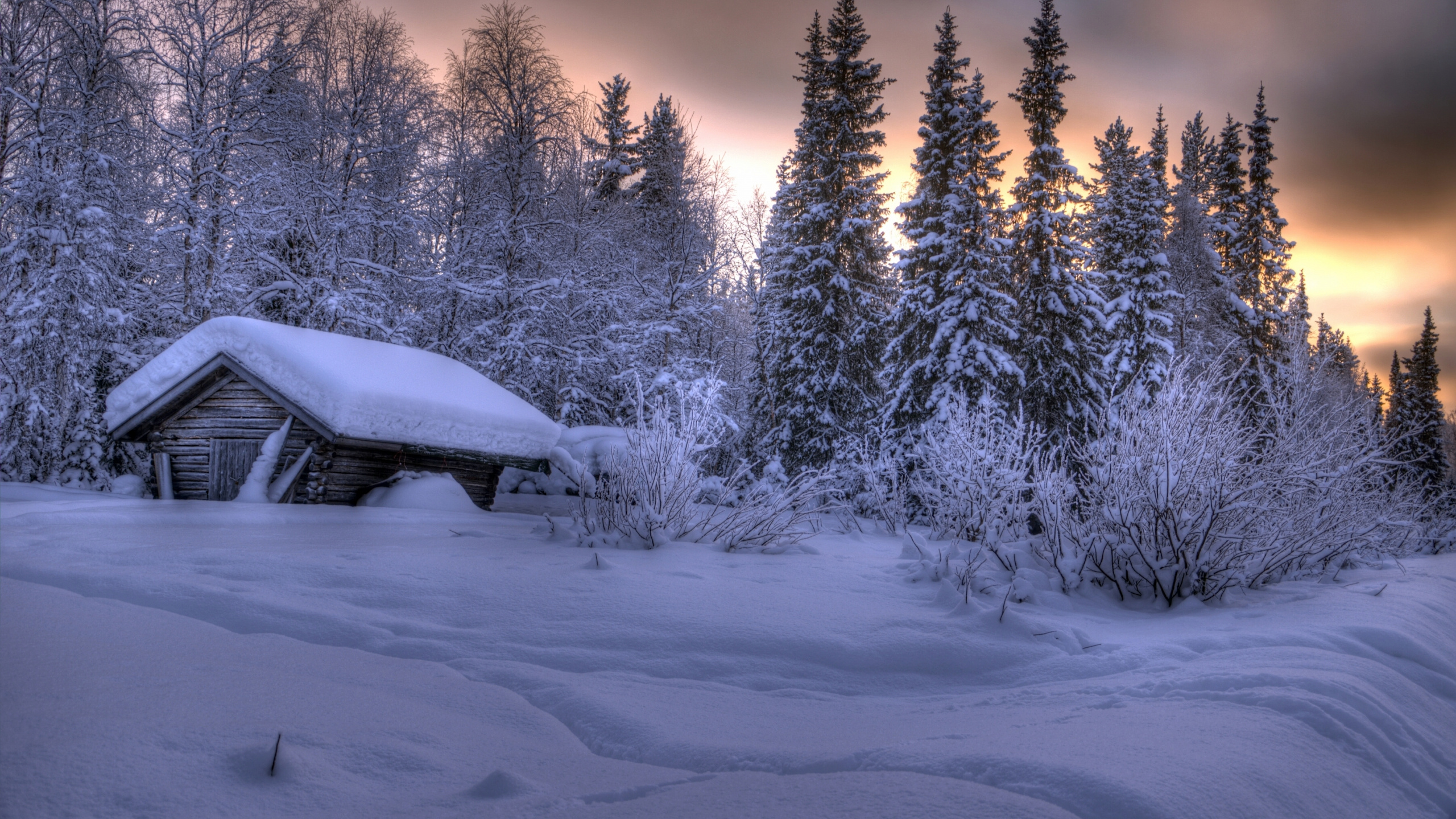 Обои Хаус, снег, зима, природа, дерево в разрешении 2560x1440