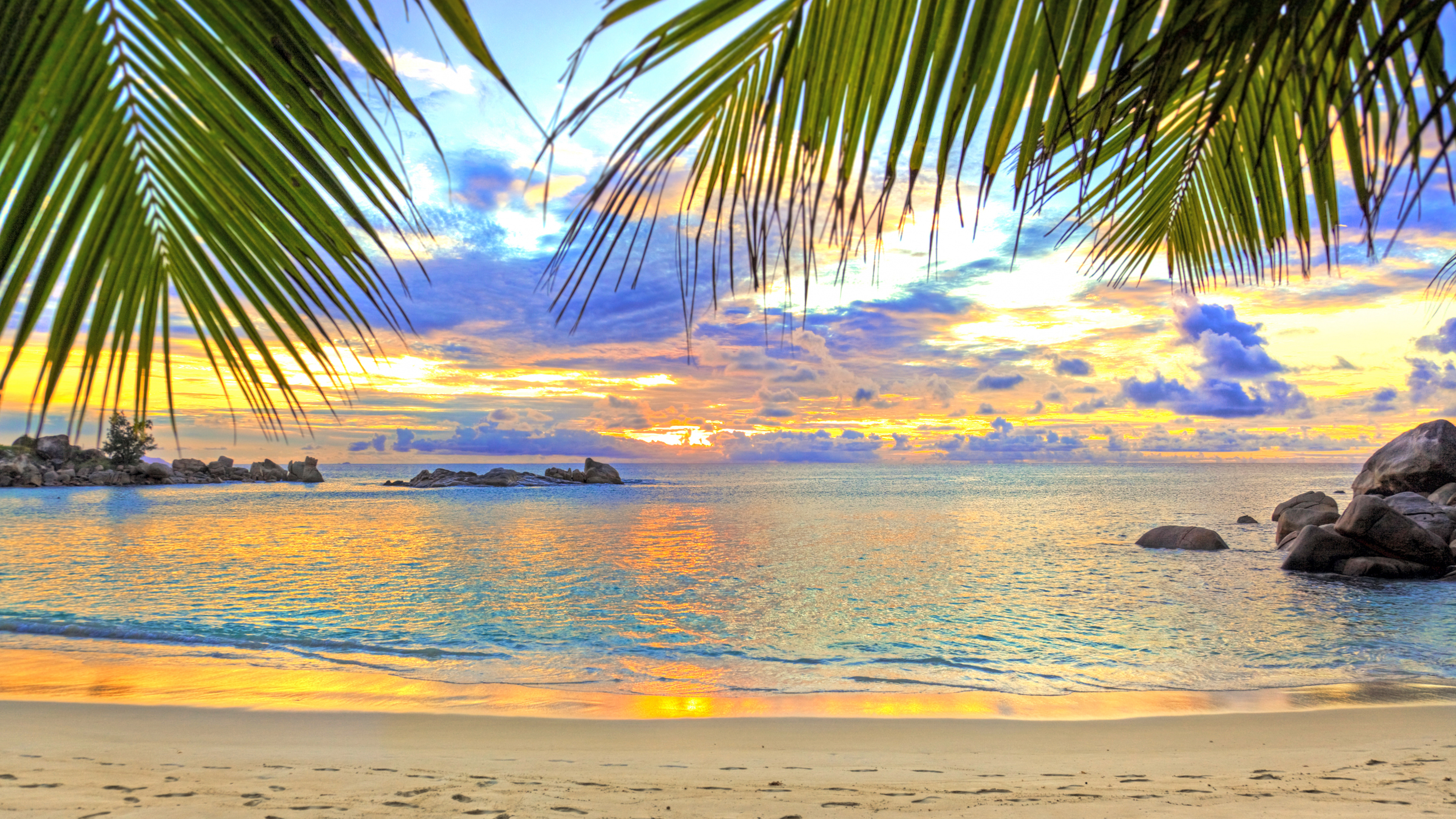 Обои пляж, тропическая зона, Пальма, океан, море в разрешении 3840x2160
