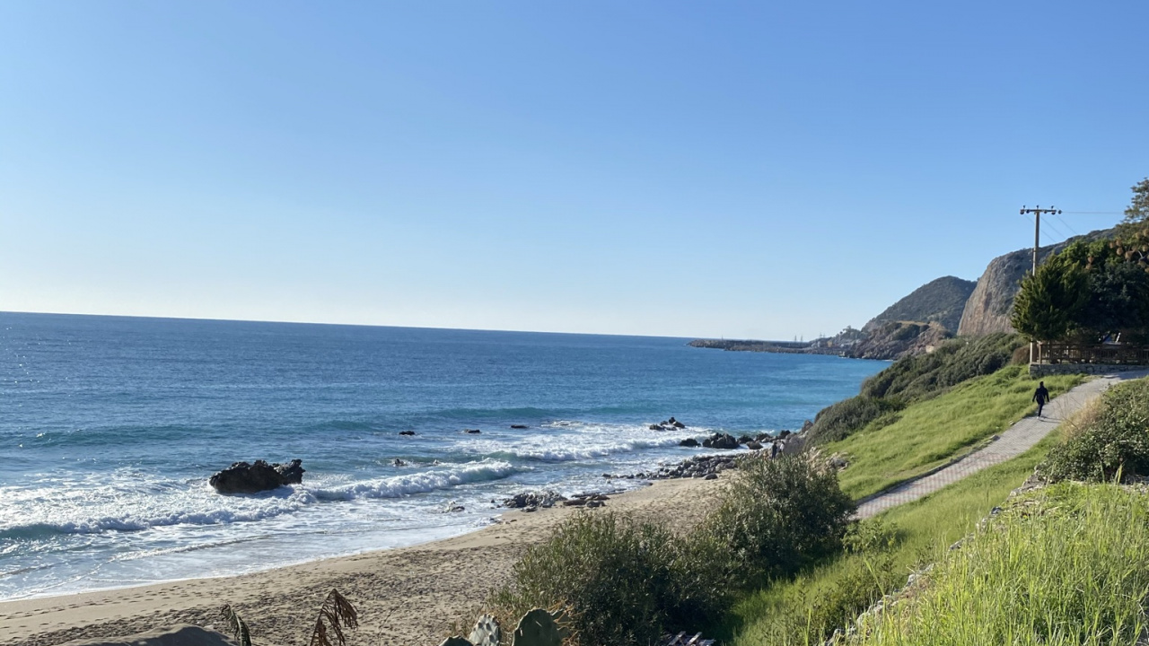 Обои побережье, наука, биология, вода, растение в разрешении 1280x720