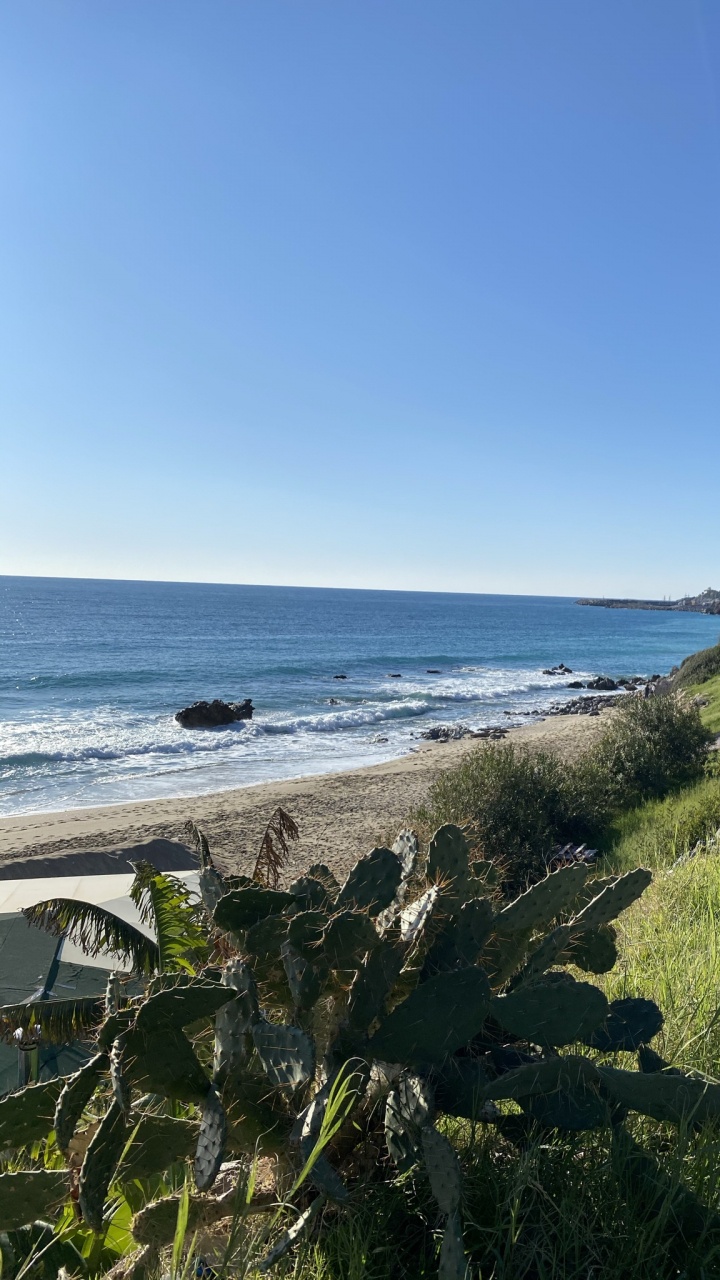 Обои побережье, наука, биология, вода, растение в разрешении 720x1280