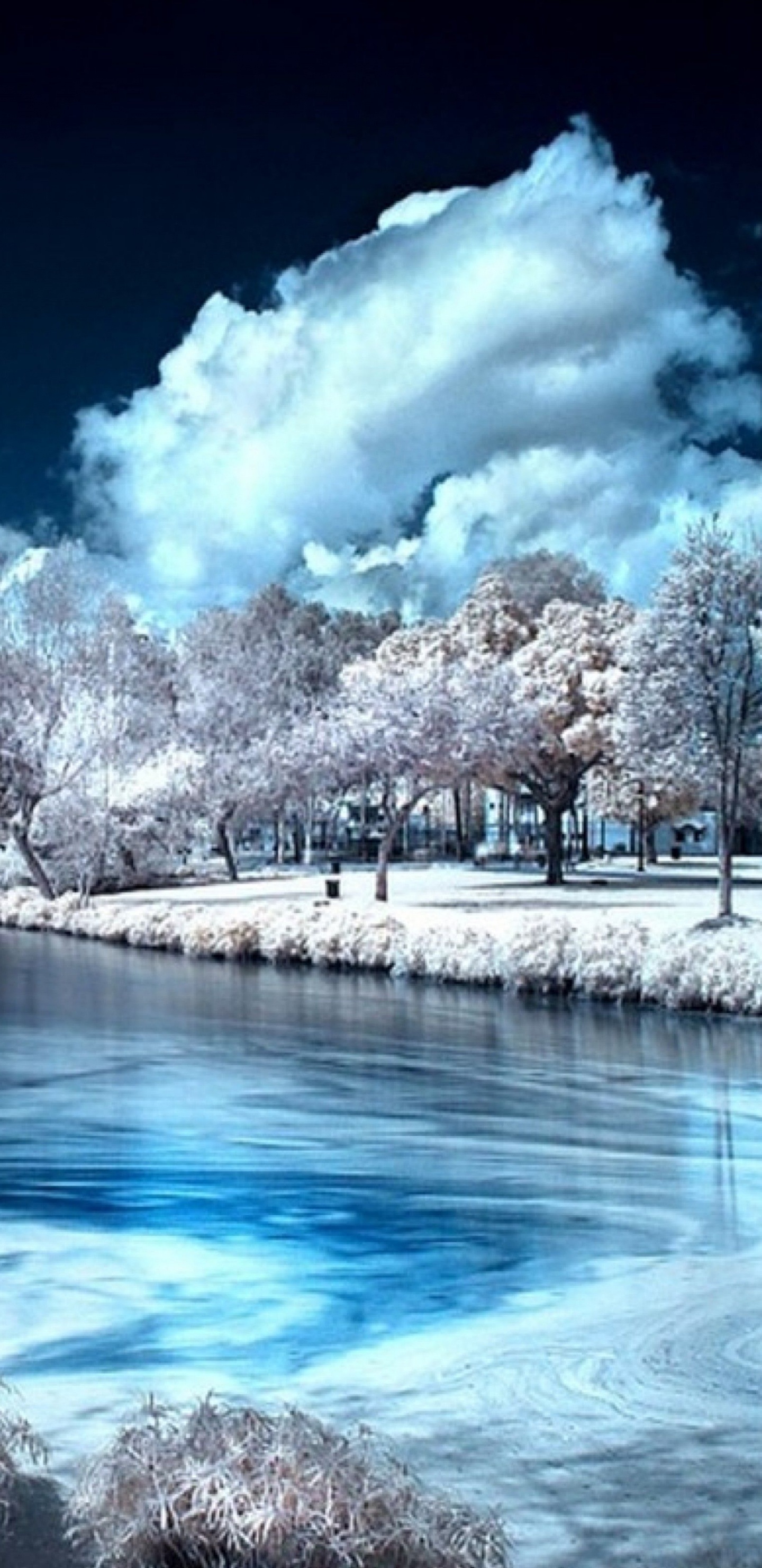 Обои природа, вода, зима, замораживание, реки в разрешении 1440x2960