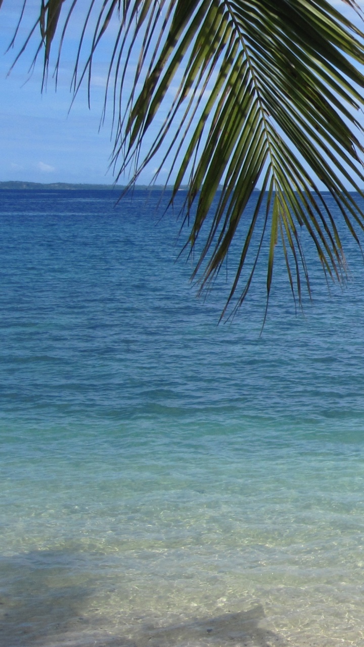 Обои водоем, море, океан, тропическая зона, Карибский бассейн в разрешении 720x1280