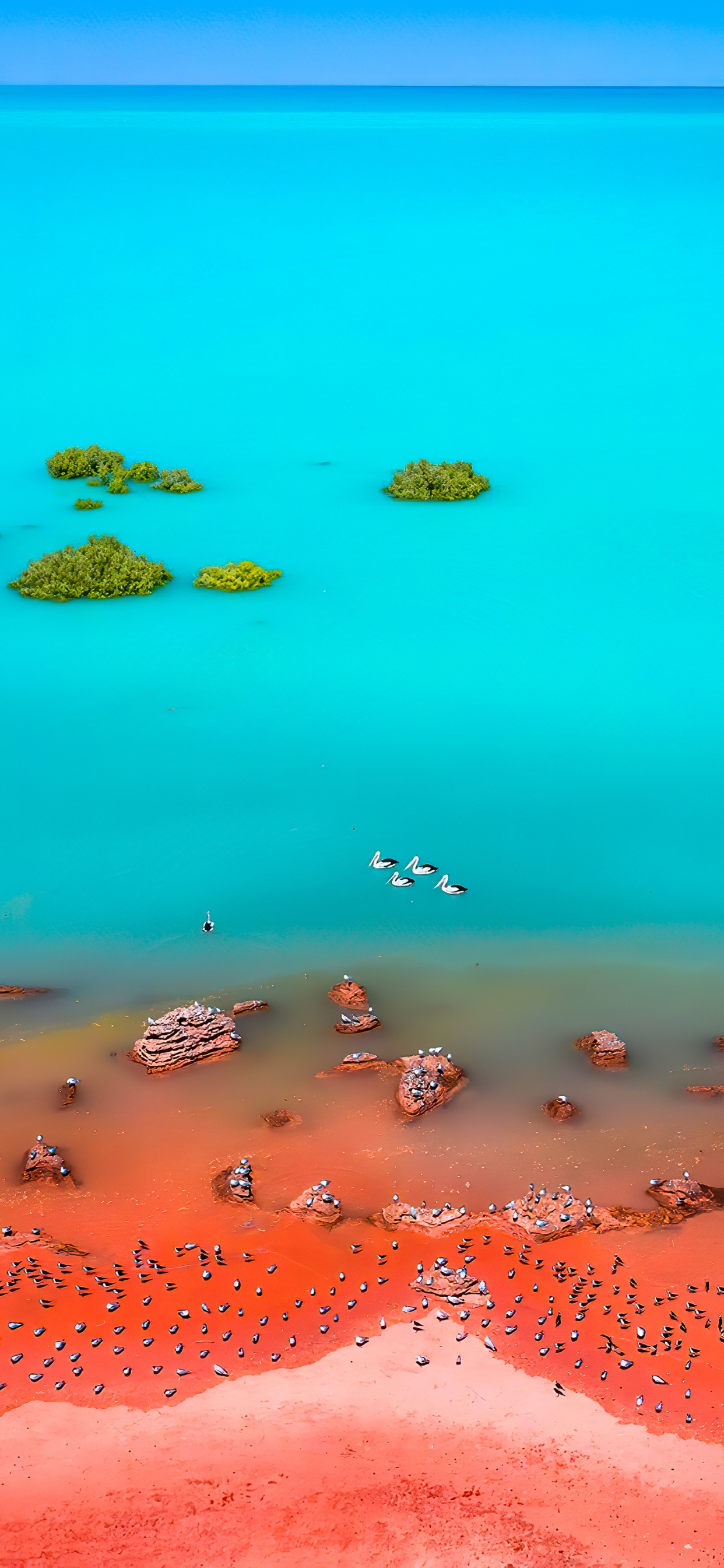 Обои море, вода, жидкий, природа, лазурный в разрешении 1242x2688