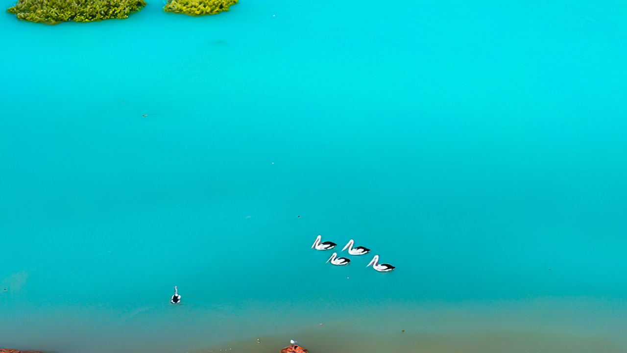 Обои море, вода, жидкий, природа, лазурный в разрешении 1280x720