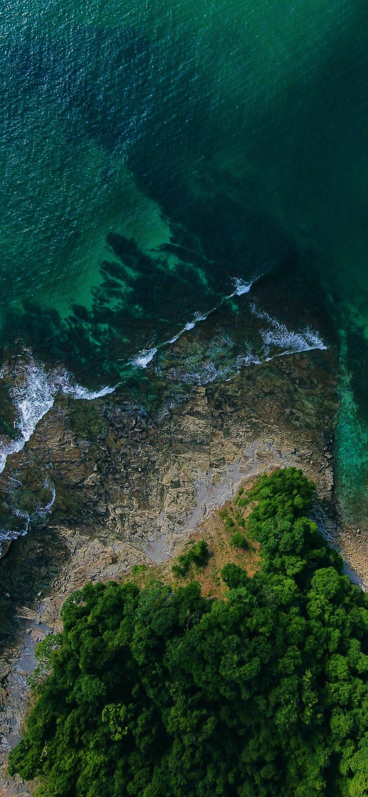 Обои растительность, вода, природный ландшафт, водоток, местность в разрешении 1242x2688