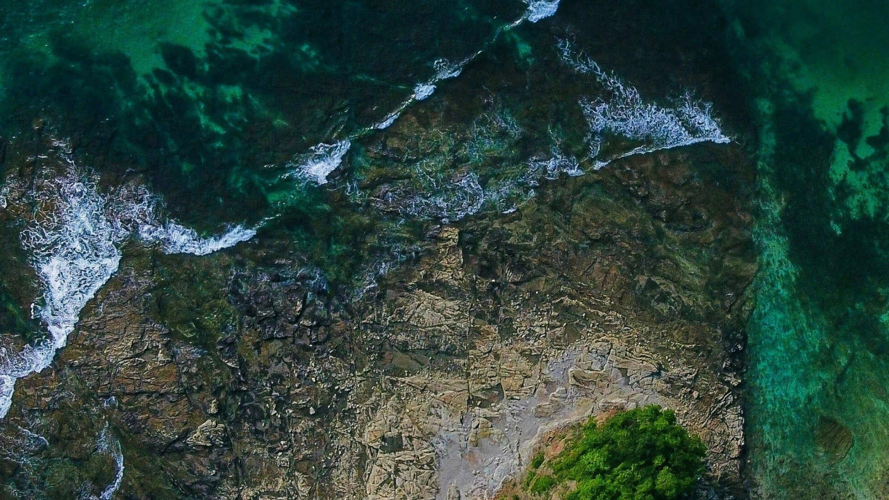 Обои растительность, вода, природный ландшафт, водоток, местность в разрешении 1280x720