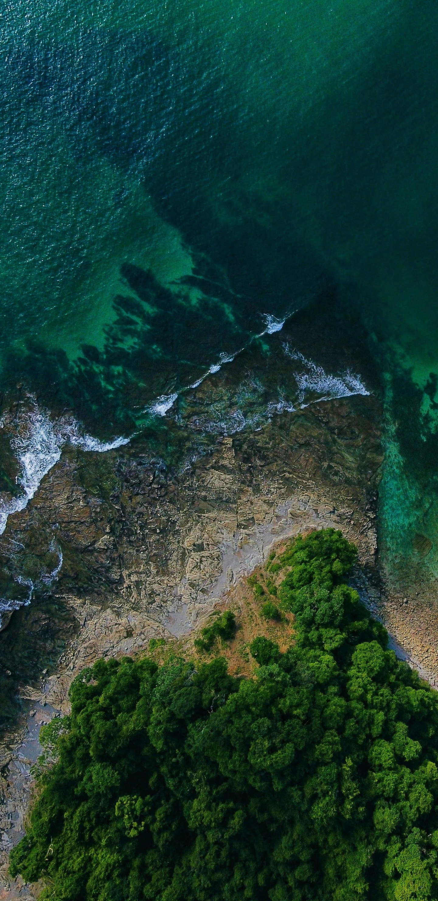 Обои растительность, вода, природный ландшафт, водоток, местность в разрешении 1440x2960