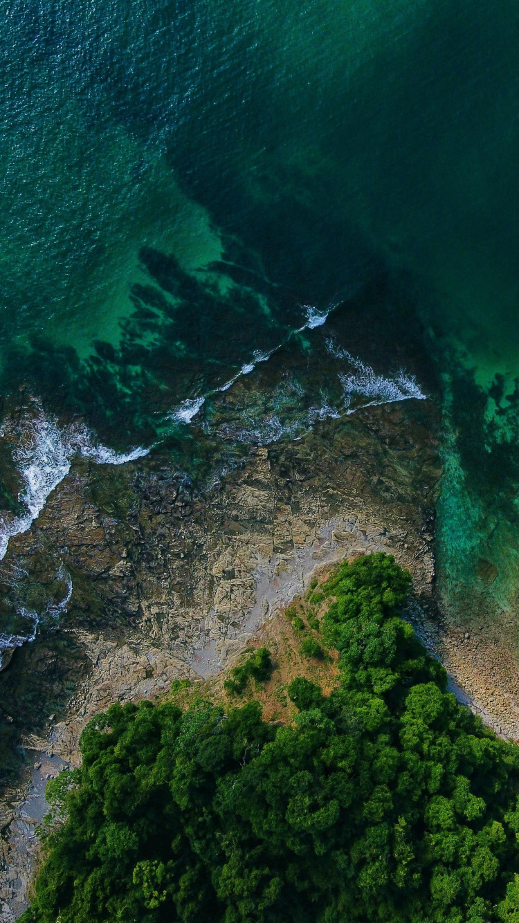 Обои растительность, вода, природный ландшафт, водоток, местность в разрешении 750x1334
