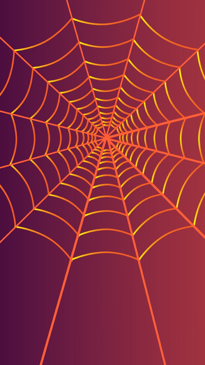 Обои паук, паутина, иллюстрация, векторная графика, Апельсин в разрешении 720x1280