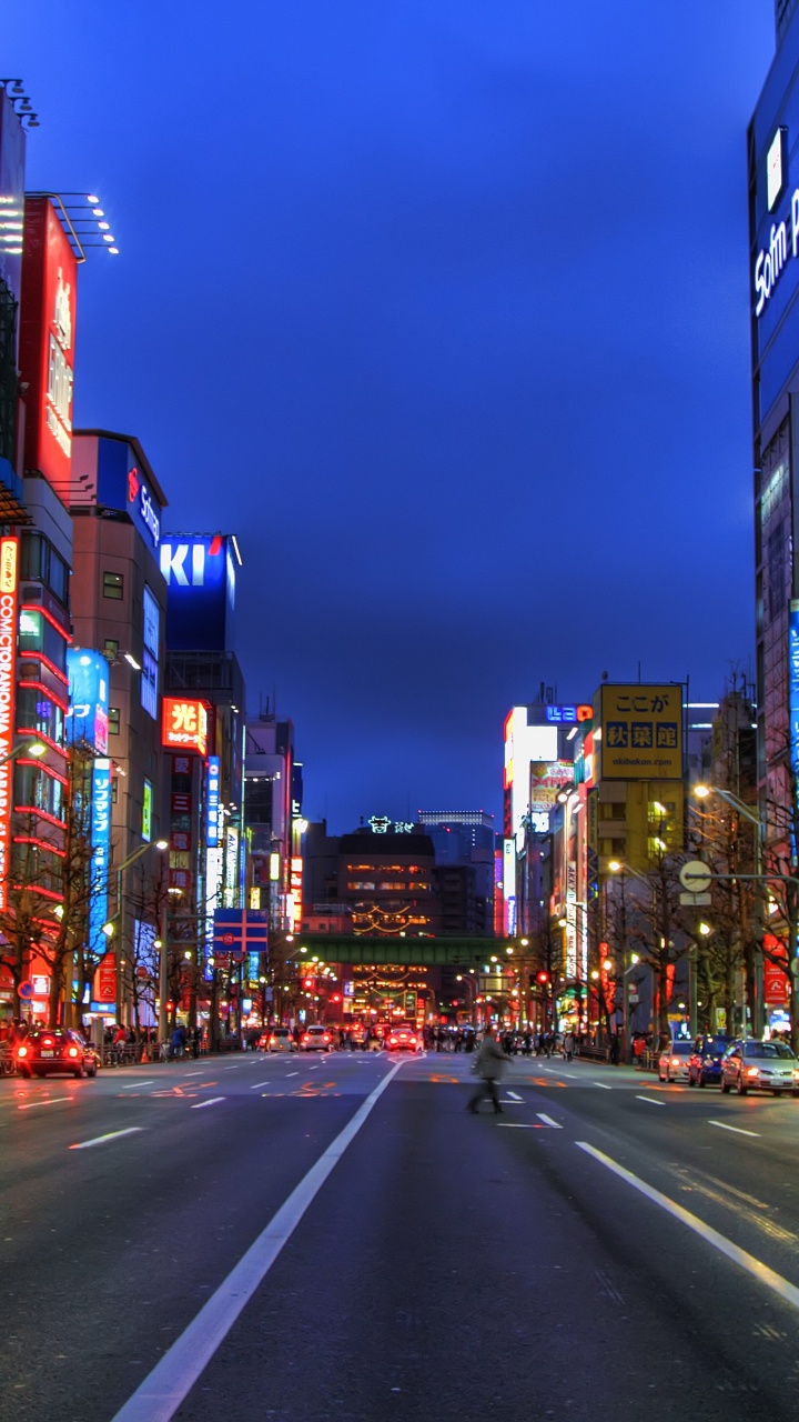 Обои Акихабара, метрополия, городской район, город, ориентир в разрешении 720x1280