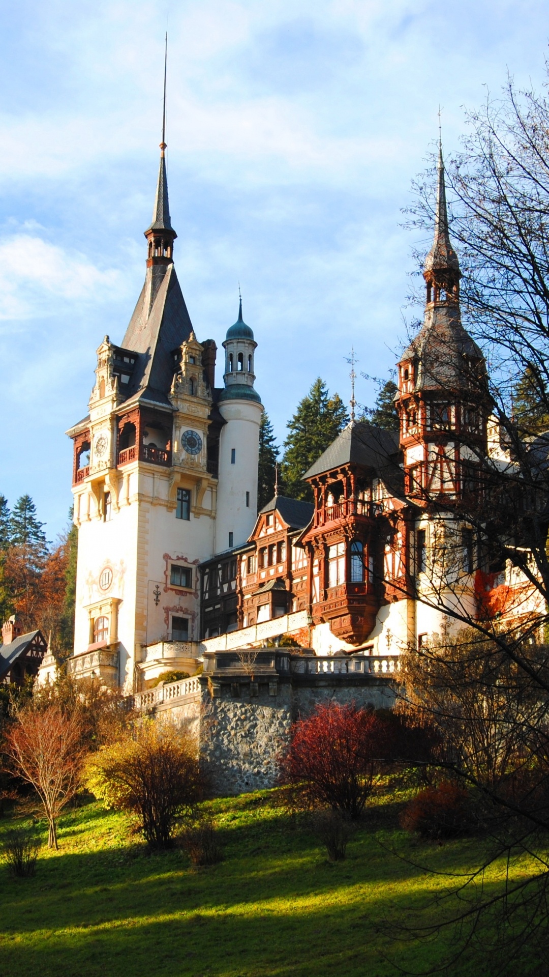 Обои Замок Бран, замок, ориентир, дерево, здание в разрешении 1080x1920
