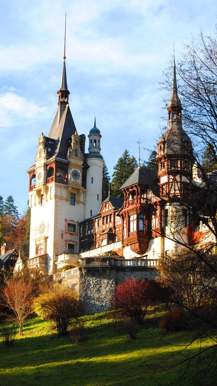 Обои Замок Бран, замок, ориентир, дерево, здание в разрешении 720x1280