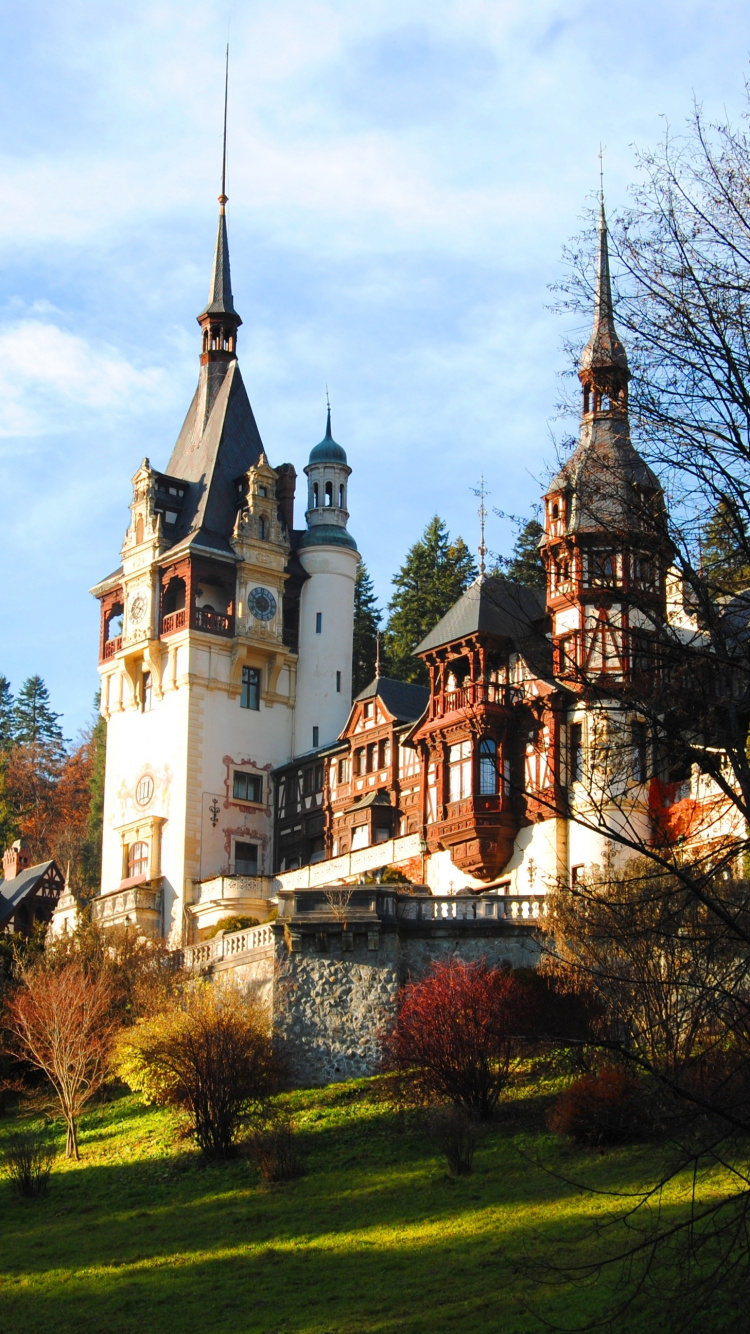 Обои Замок Бран, замок, ориентир, дерево, здание в разрешении 750x1334