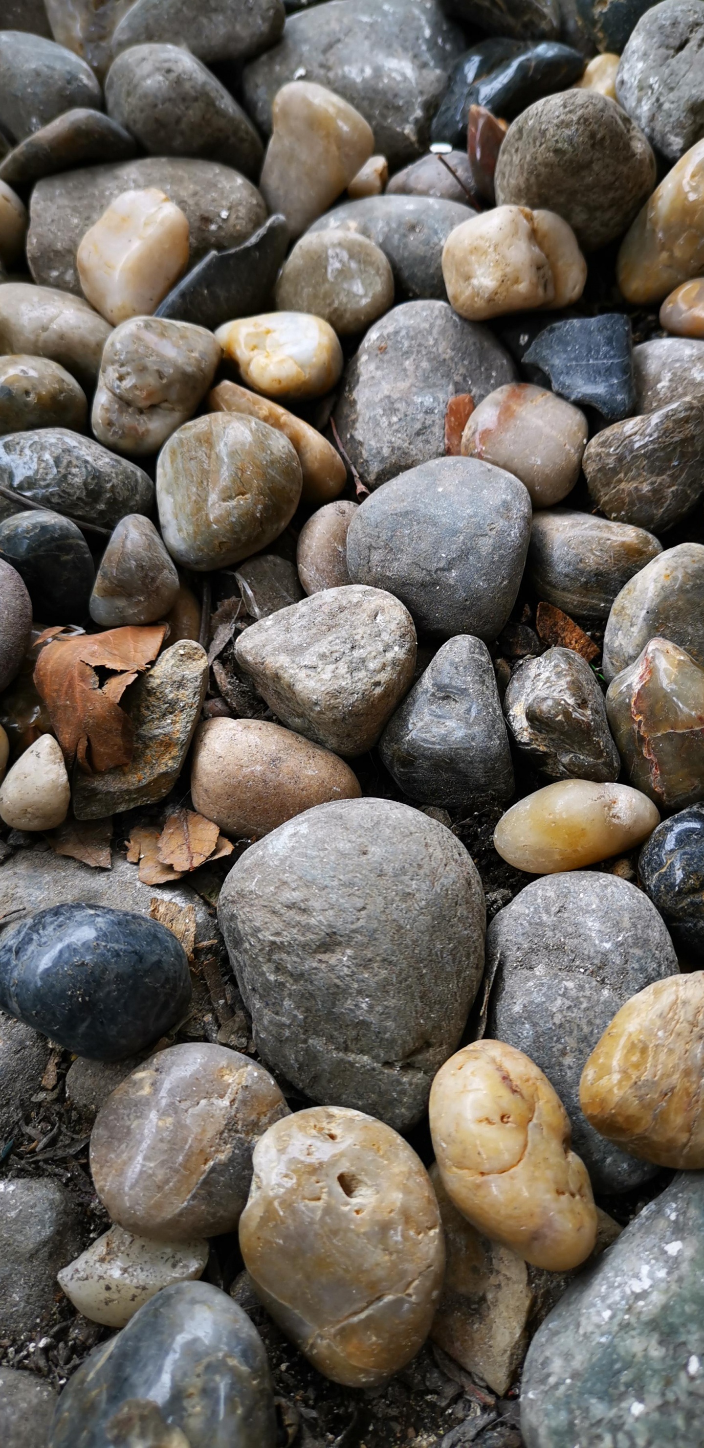 Обои булыжник, природа, коренная порода, строительный материал, рок в разрешении 1440x2960